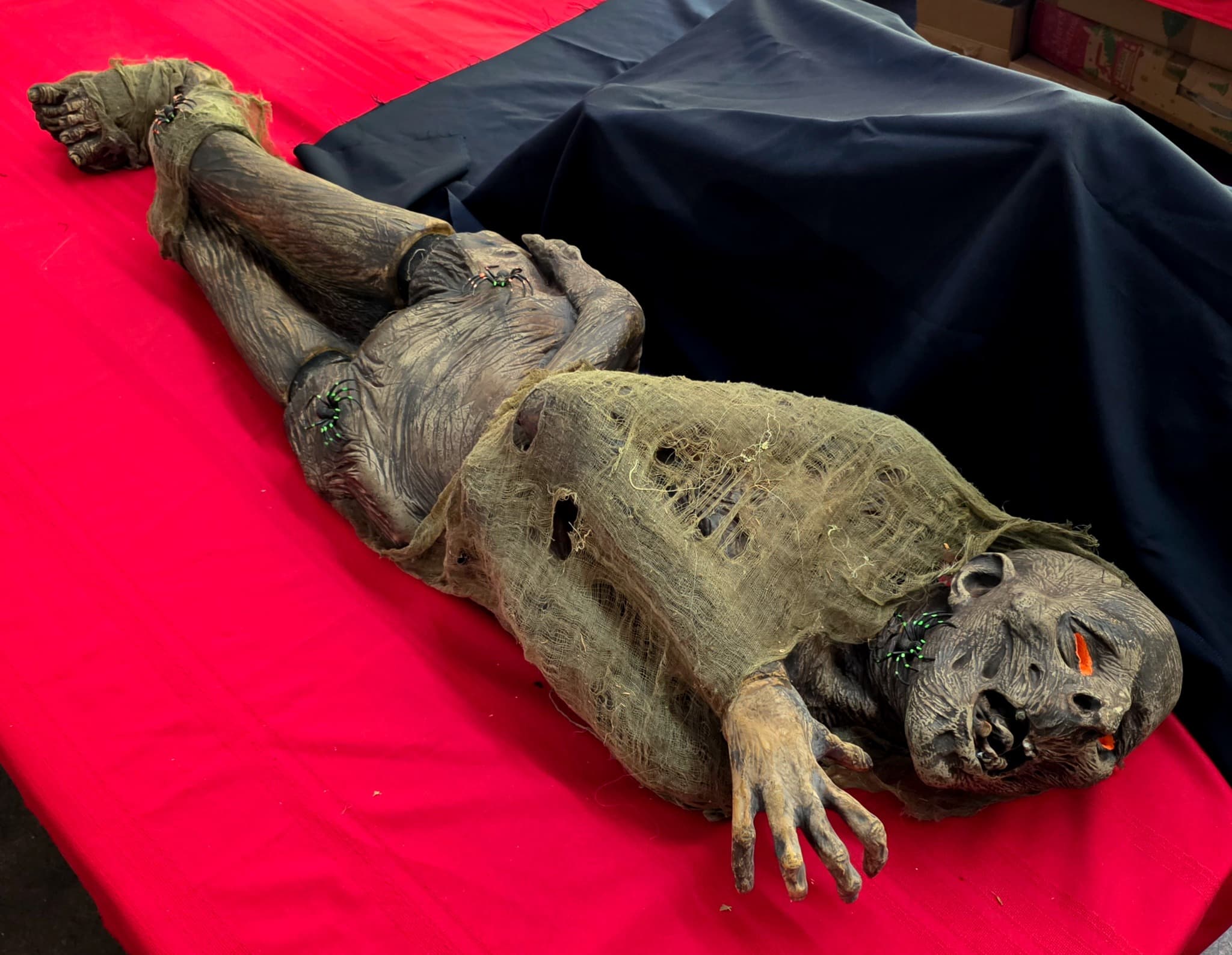 Life-Like Latex Zombie Corpse Halloween Prop, 64 inches
