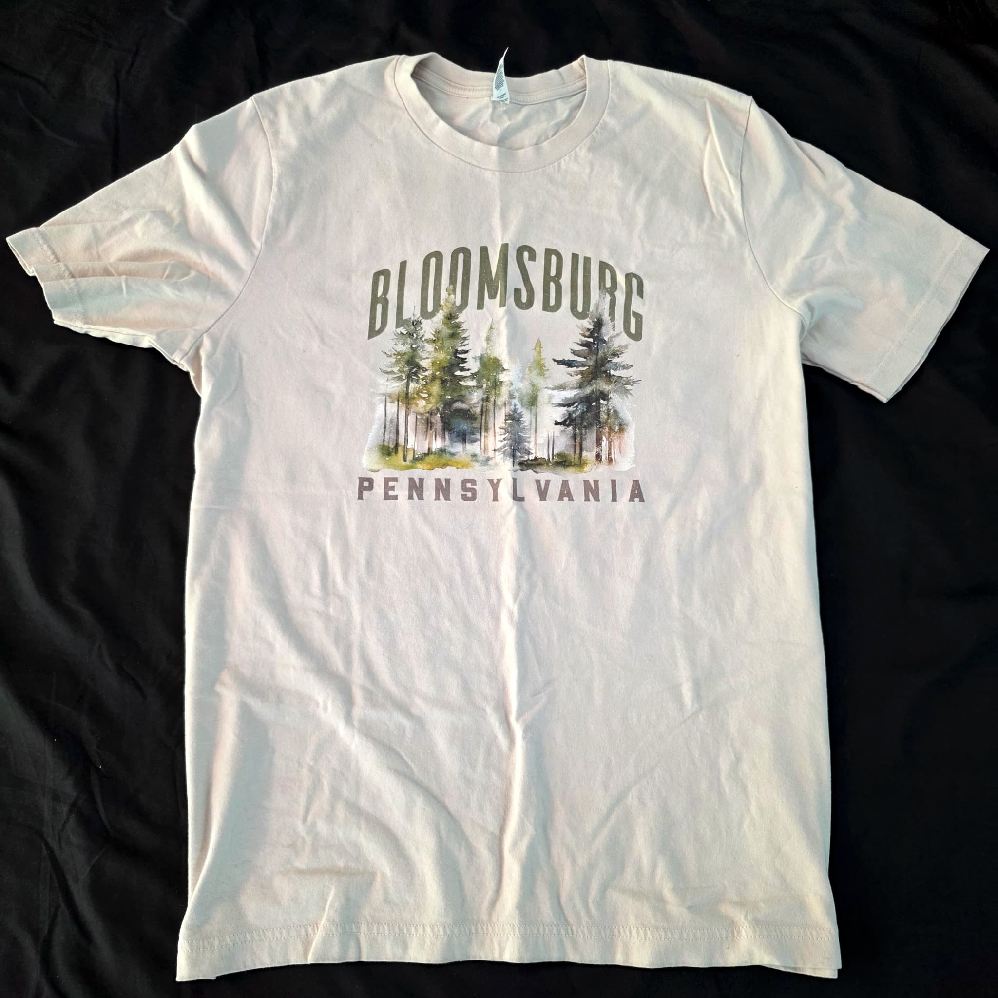 Bloomsburg Pennsylvania Graphic T-Shirt, Size XL