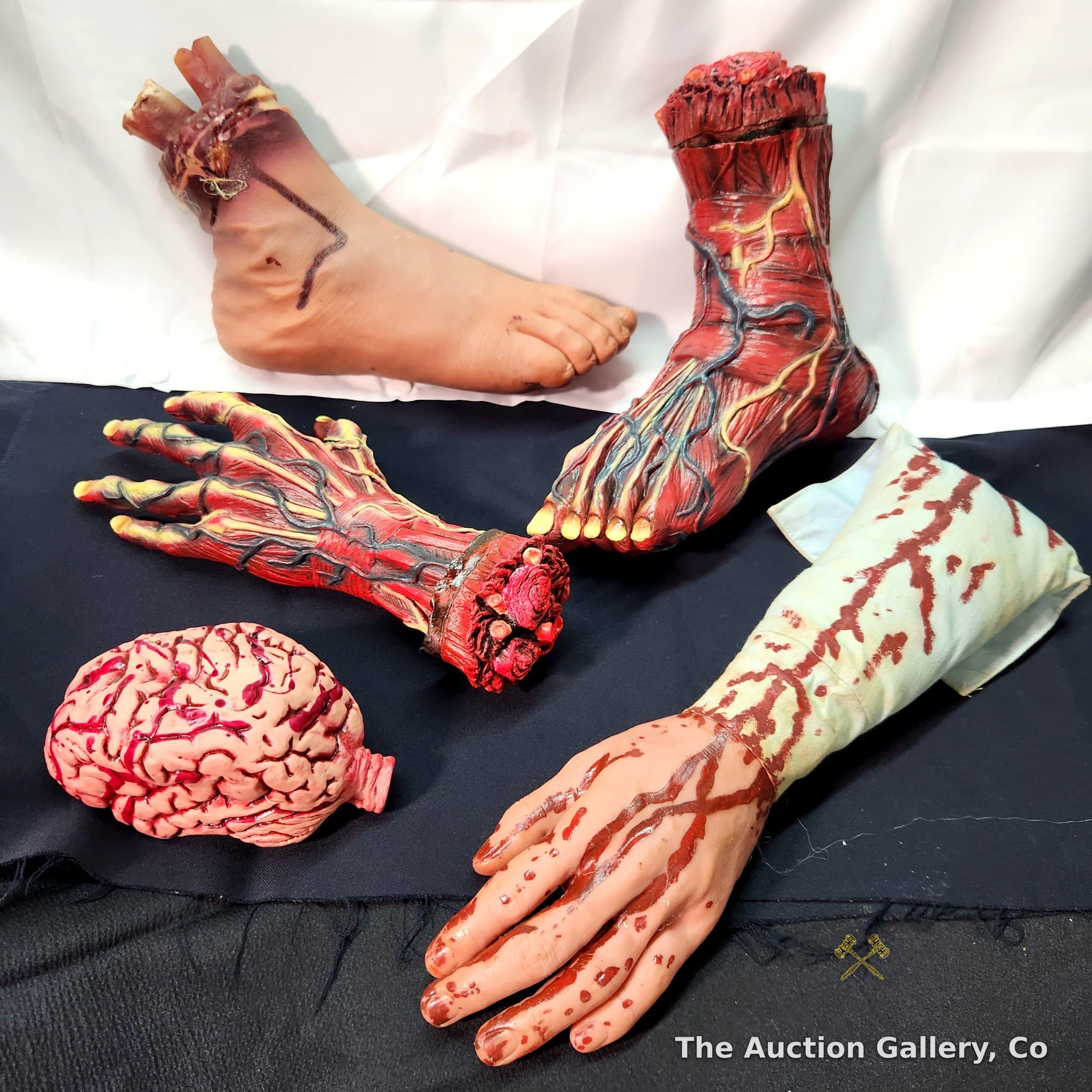 Halloween Prop Lot of 5 Severed Body Part Replicas