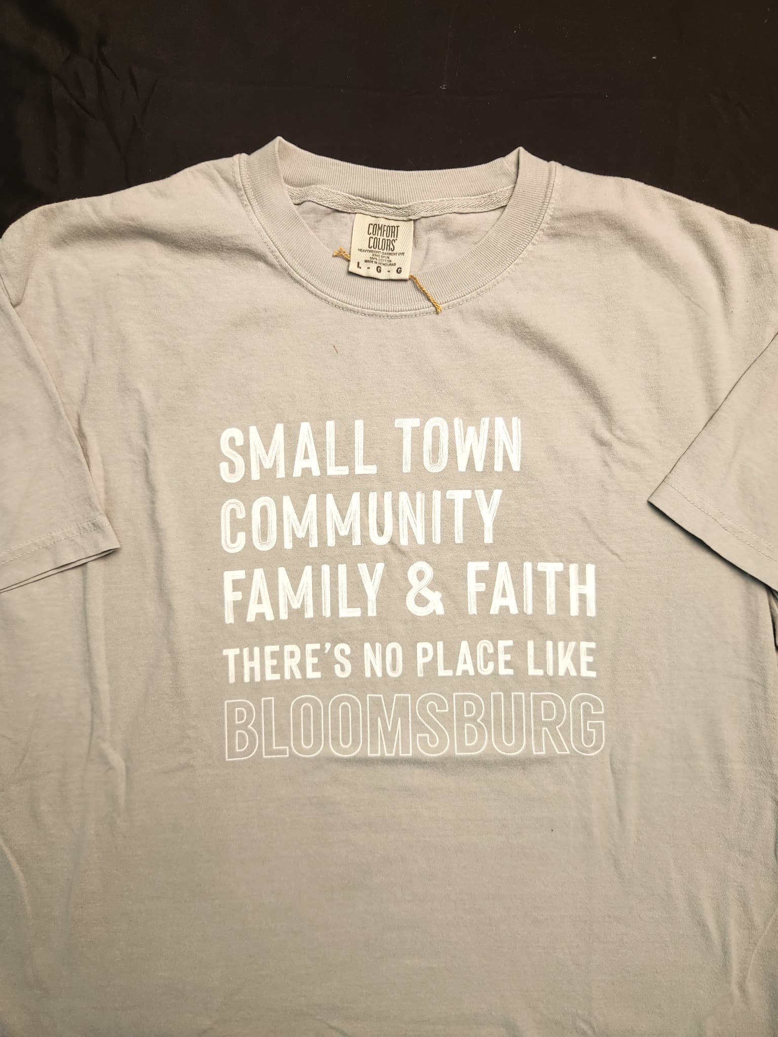 Comfort Colors Bloomsburg Graphic T-Shirt, Size Large