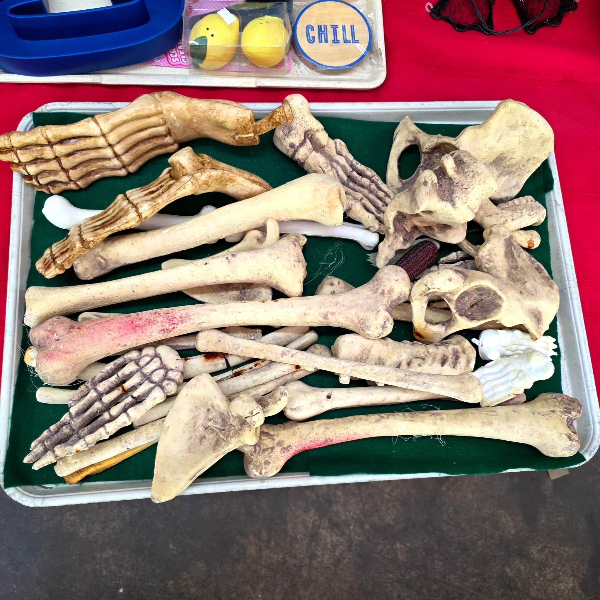 Large Tray of Foam & Latex Skeleton Bones Props