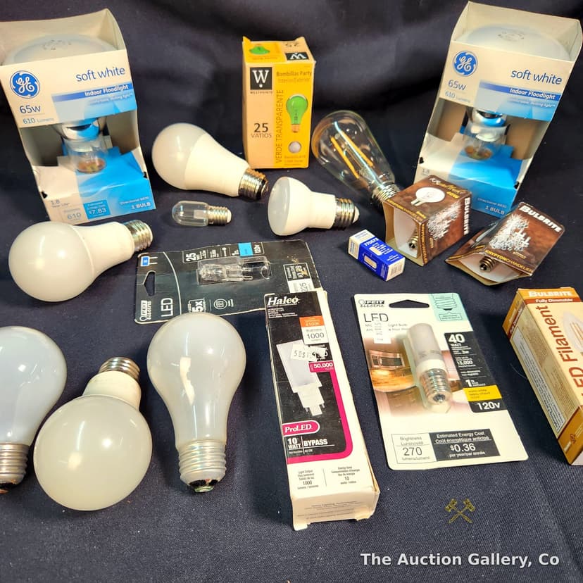 Mixed Light Bulb Lot, 18 Pieces โ GE, Bulbrite, Feit, Halco