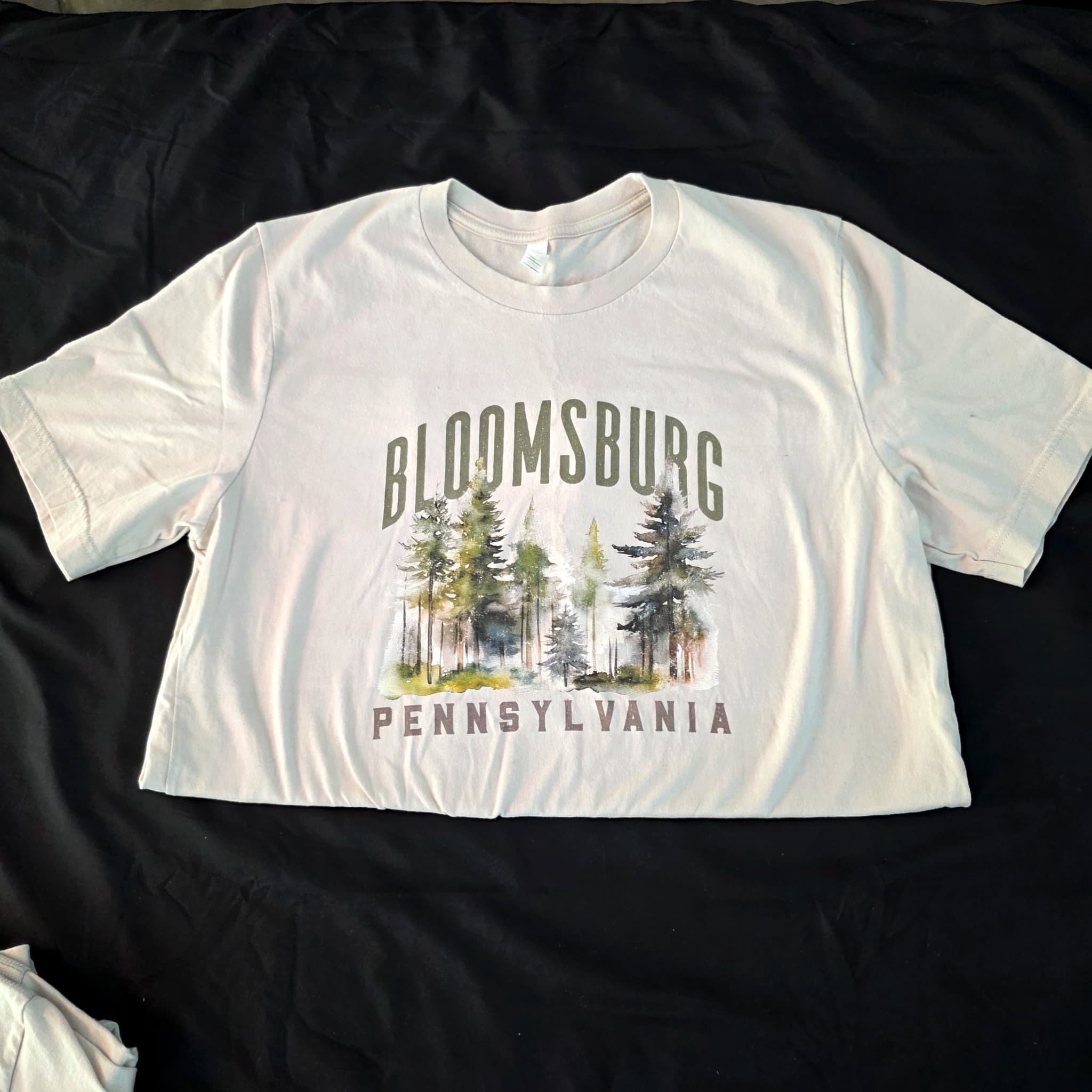 Bloomsburg Pennsylvania Graphic Tee, Canvas, Size L