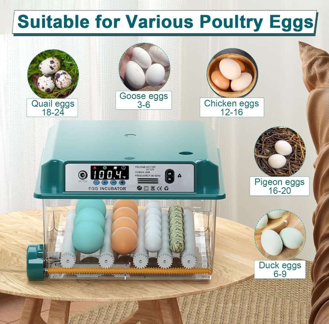 16 Egg Incubator - Temp Control