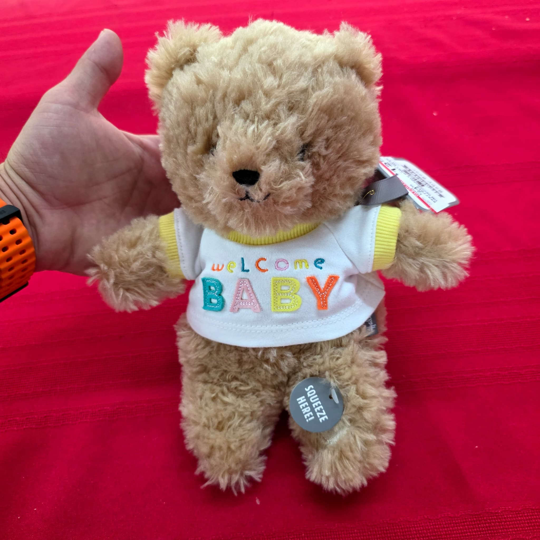 Hallmark Recordable Welcome Baby Teddy Bear, New