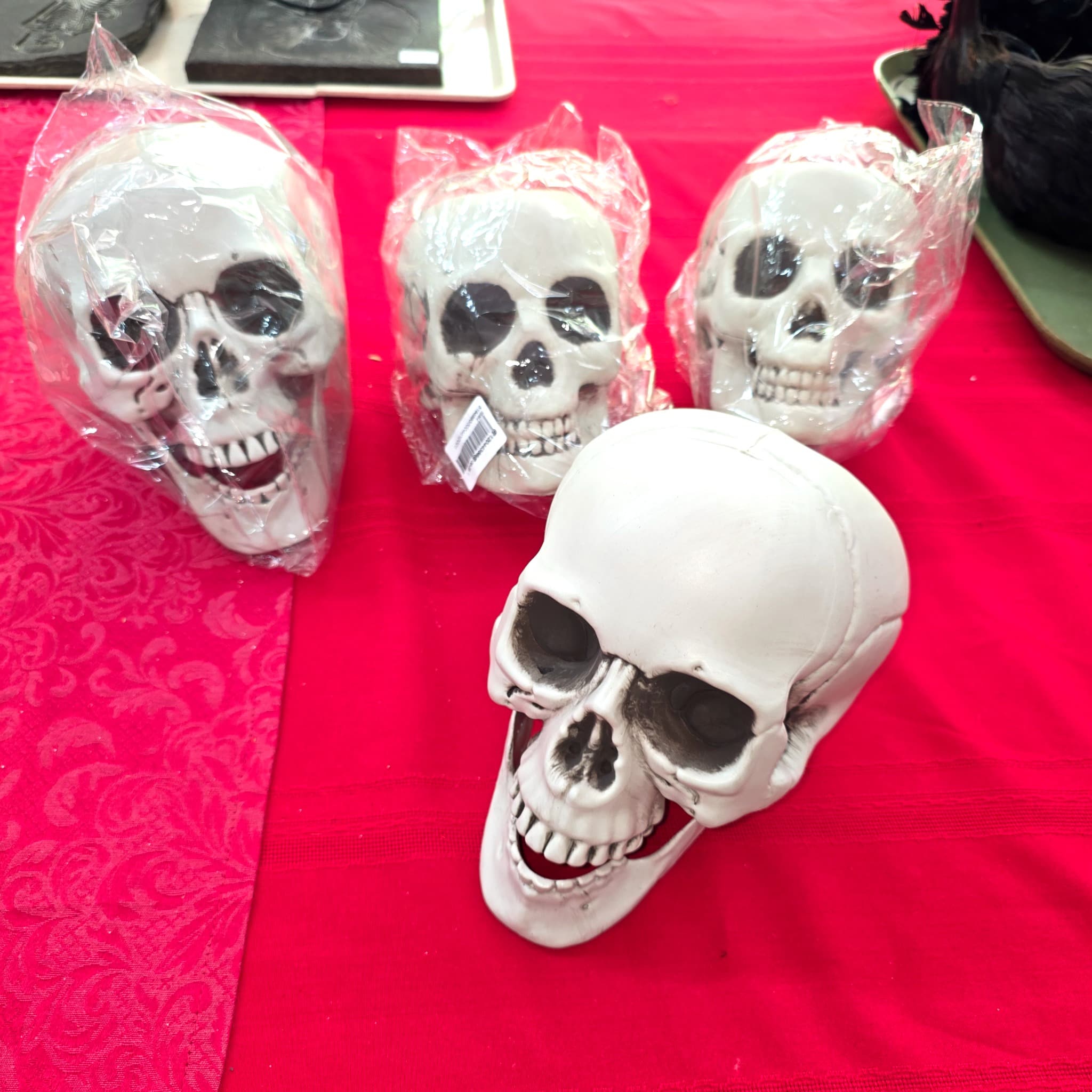 Plastic Skull Decorations, Set of 4, New