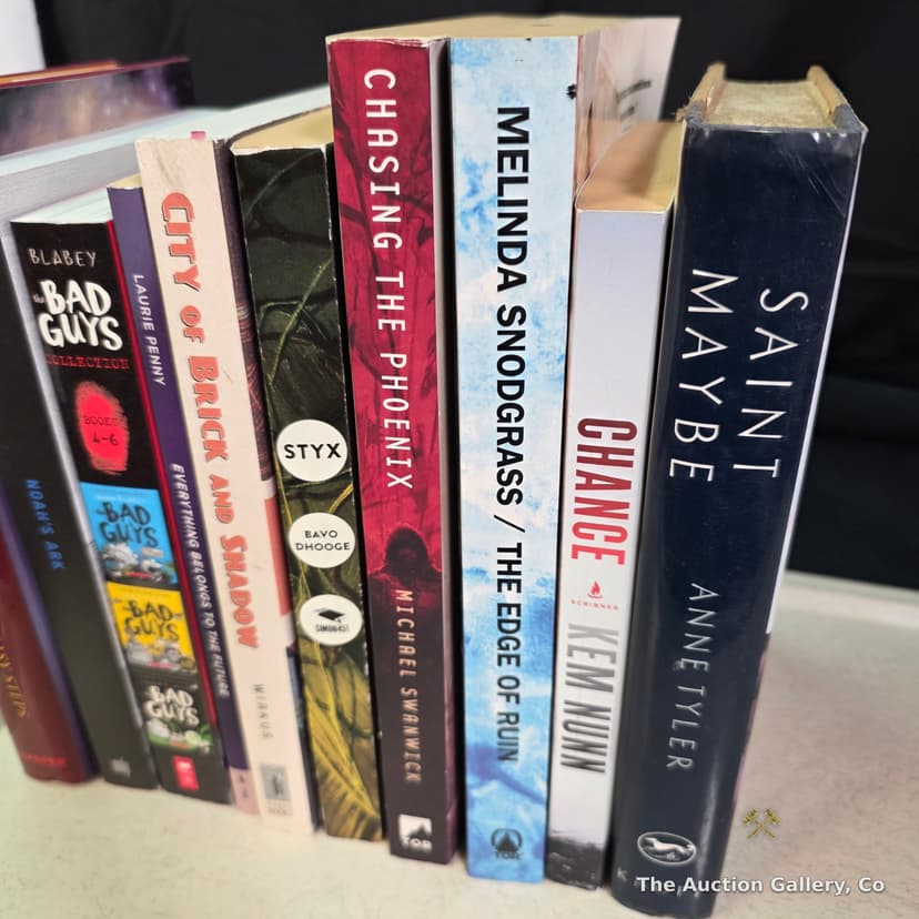 Mixed Lot of 9 Books, All New β photo 3