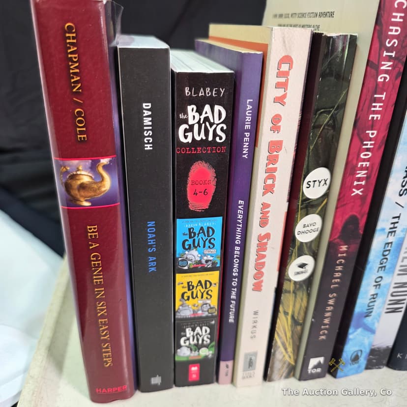 Mixed Lot of 9 Books, All New β photo 2