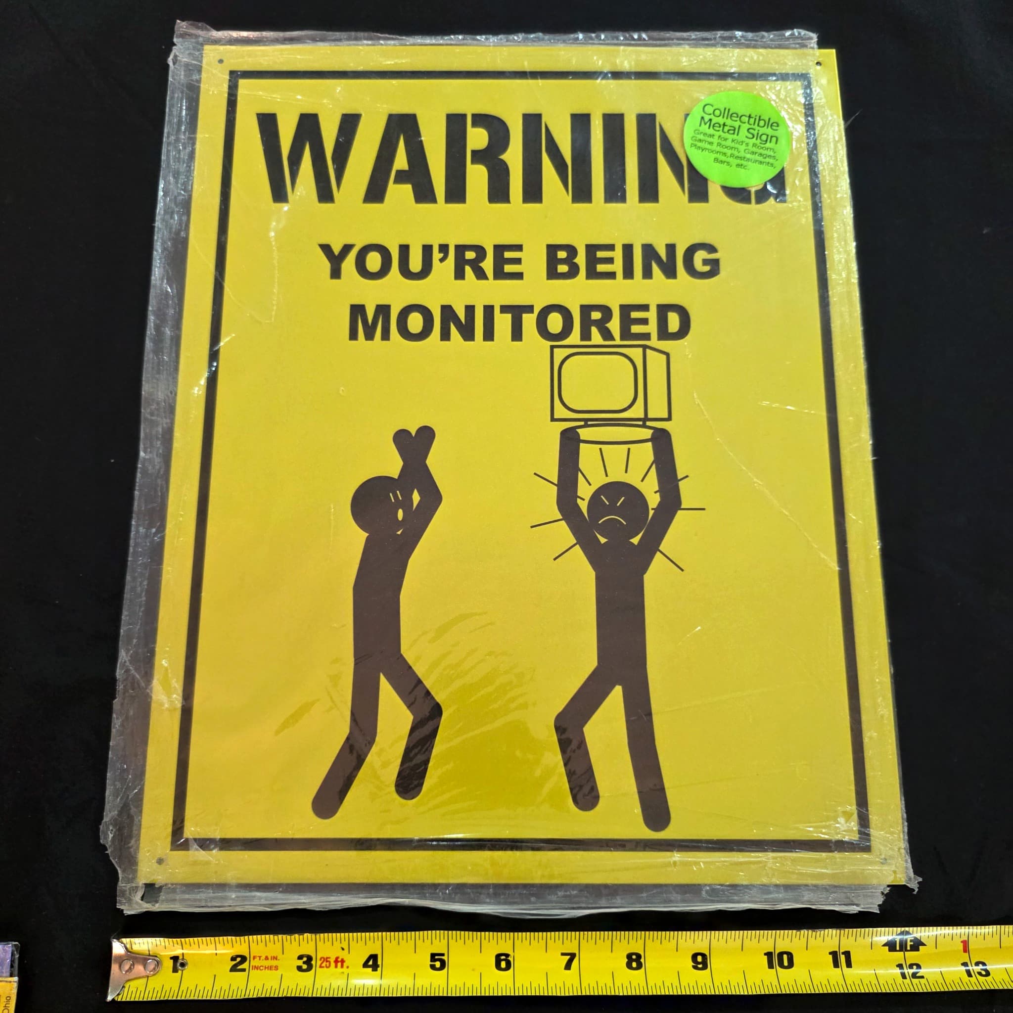 "Warning: You're Being Monitored" Novelty Metal Sign, 12x15"