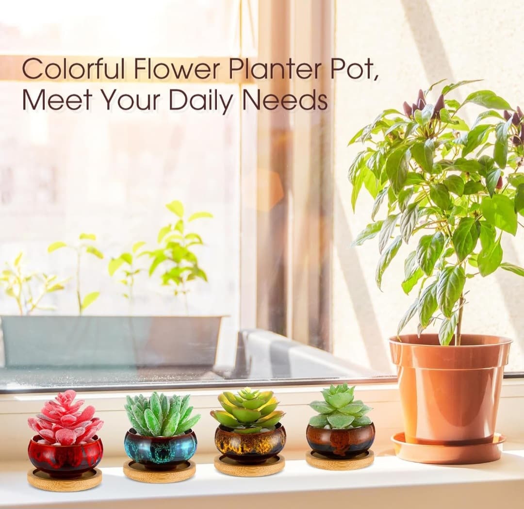 6 Piece Mini Ceramic Succulent Pots with Drainage Hole and Coasters