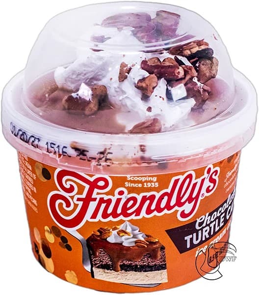 Friendly's Chocolate Turtle Cake Ice Cream Cake 8.5oz