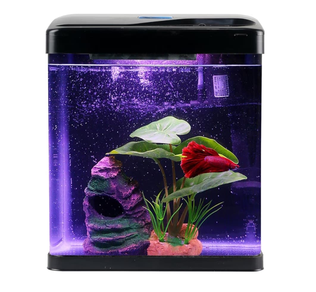 2 Gallon Fish Tank Kit (with Light, Decor, Net, ect)