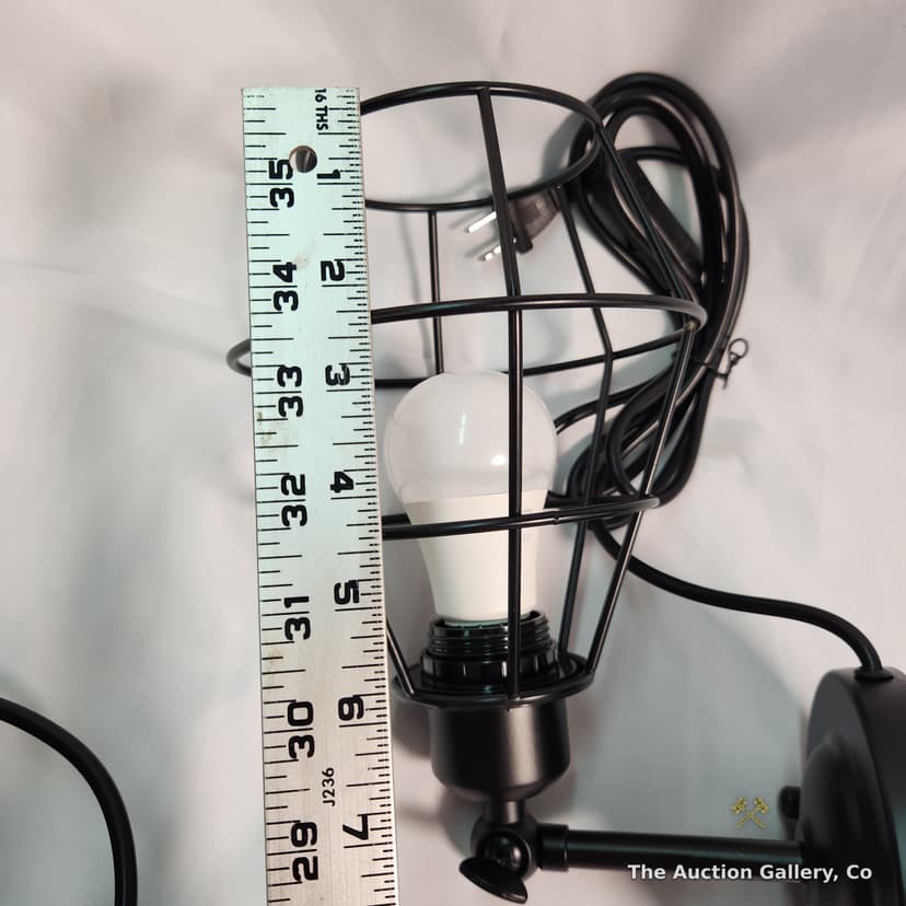 Wire Cage Wall Sconces, Set of 2, New โ photo 7