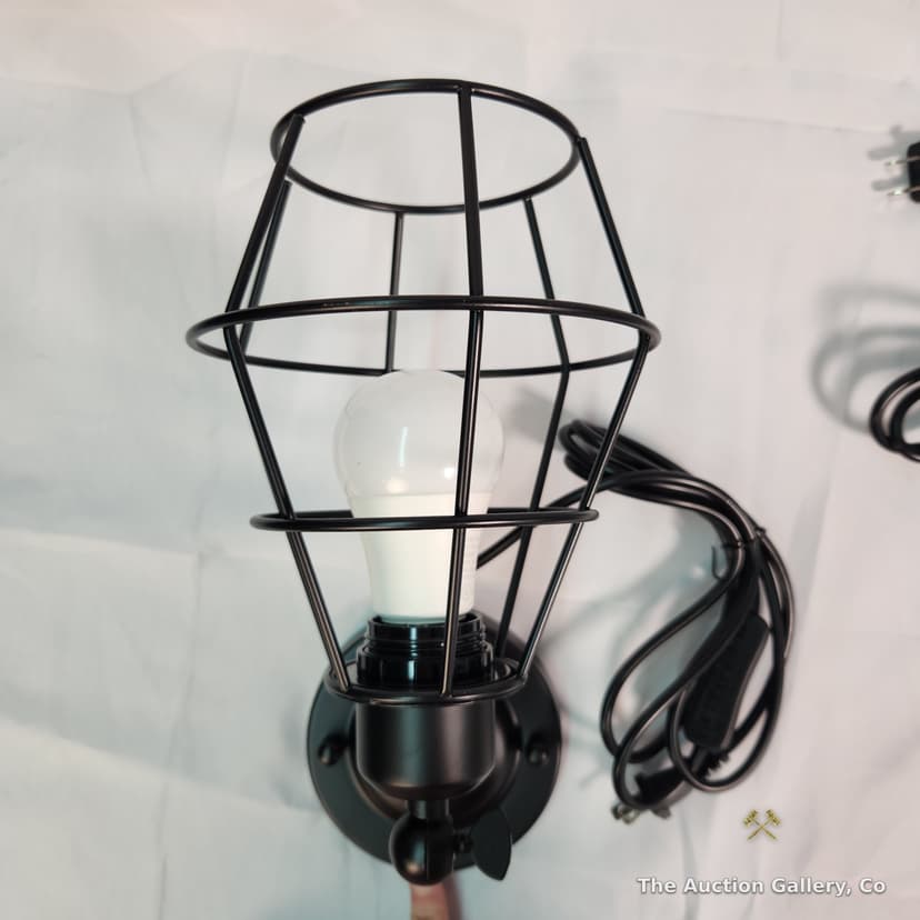Wire Cage Wall Sconces, Set of 2, New โ photo 3