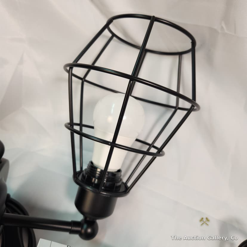 Wire Cage Wall Sconces, Set of 2, New โ photo 2