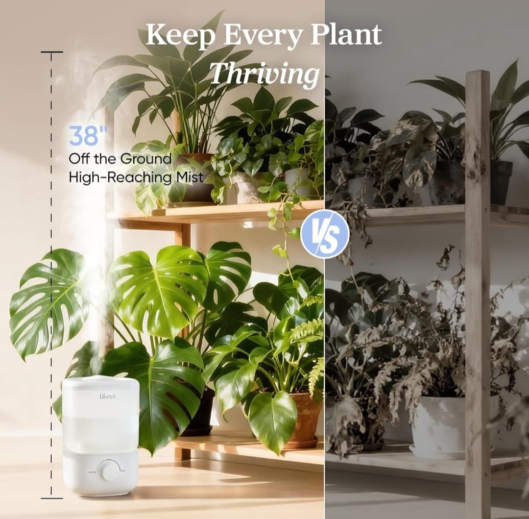 Humidifier - Top Fill