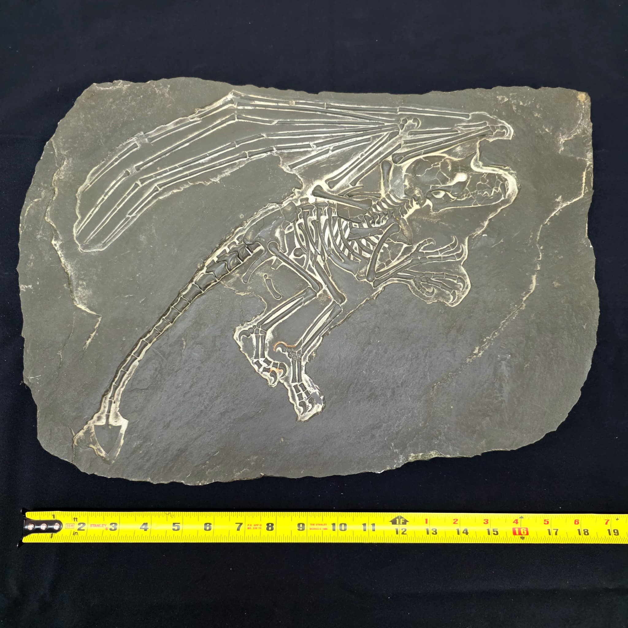 Carved Polystone Fossil Flying Dragon Relief Replica, 14" x 20"