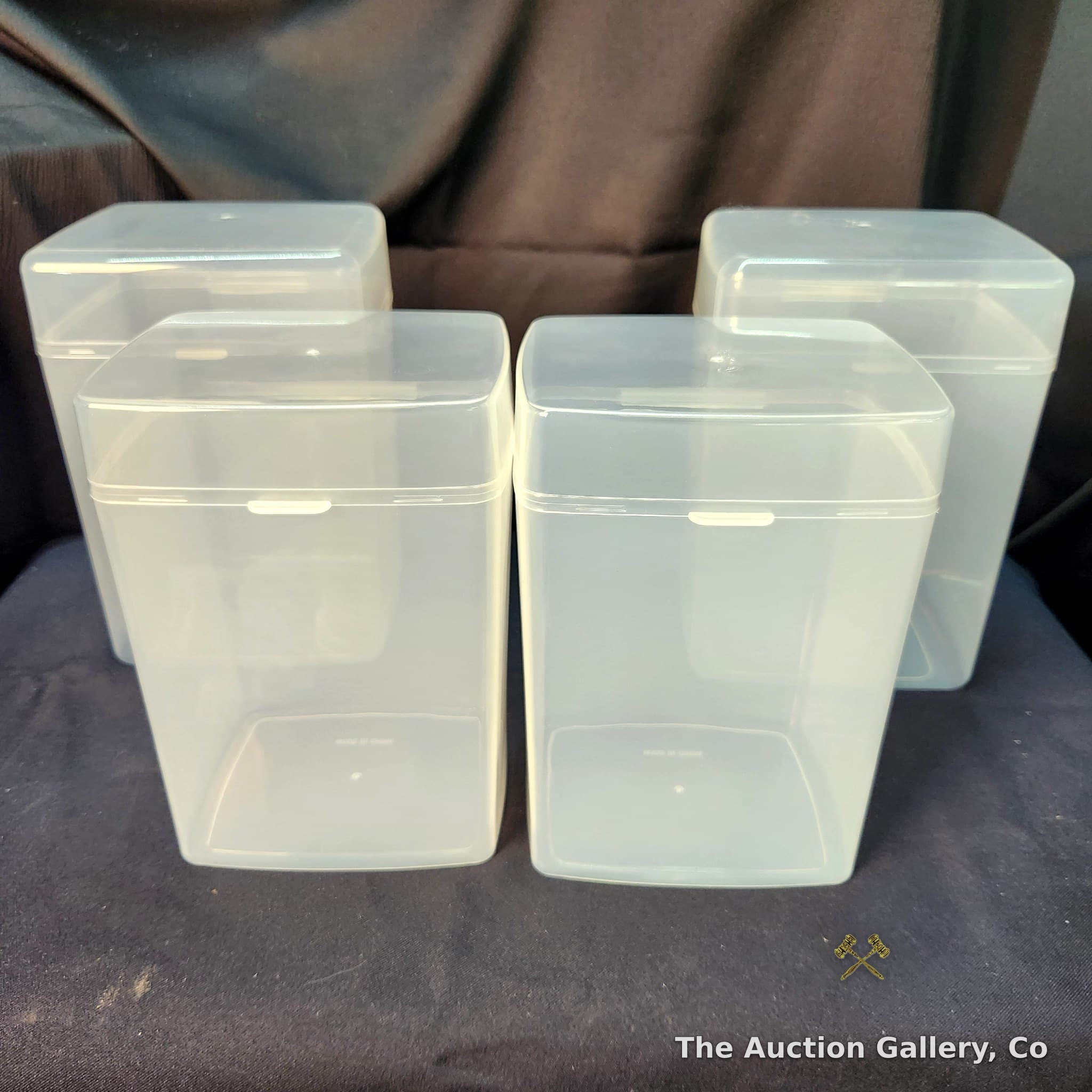 Set of 4 Clear Plastic Hinged-Lid Storage Boxes
