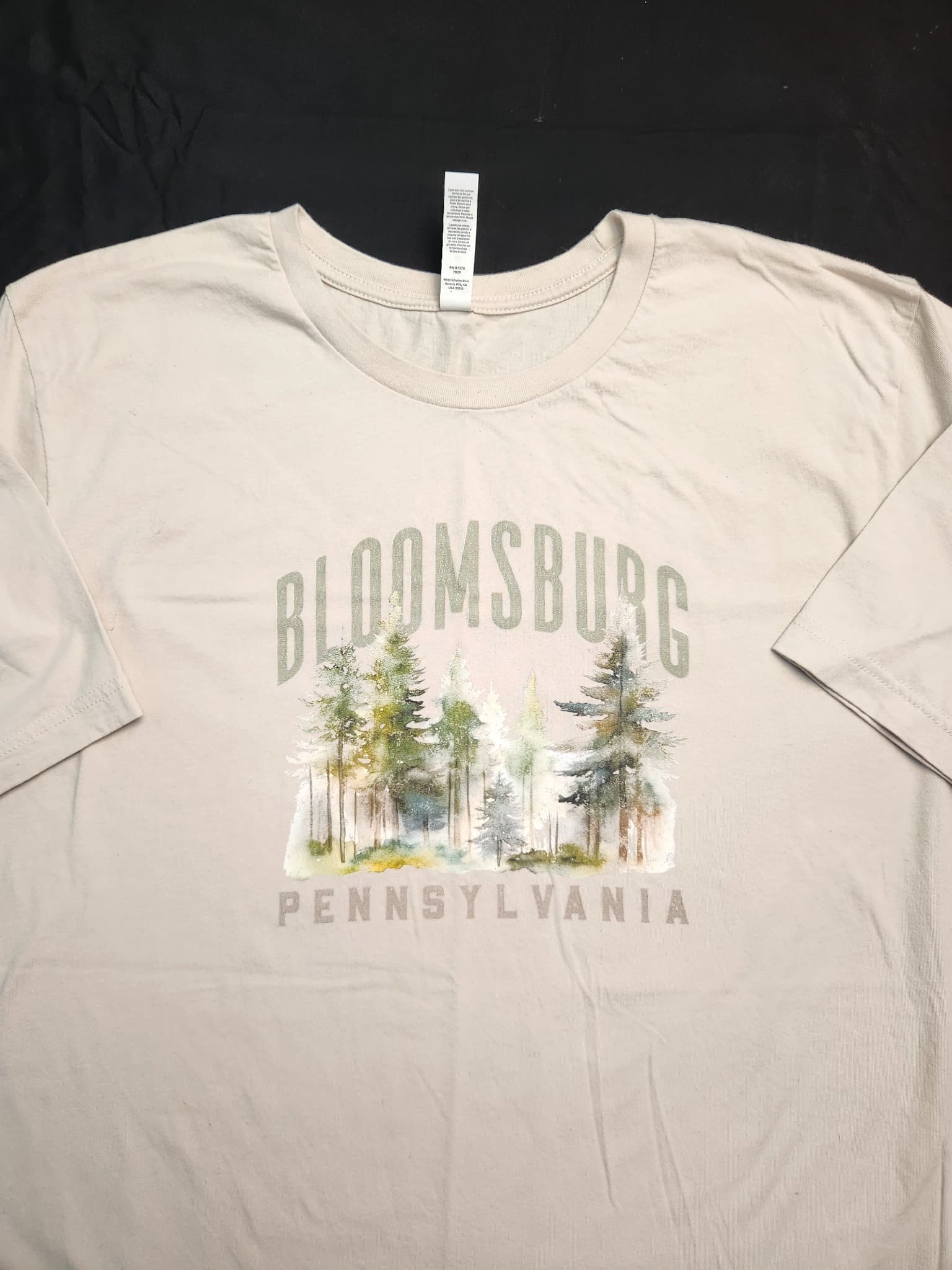 Bloomsburg Pennsylvania Graphic T-Shirt, Size 2XL