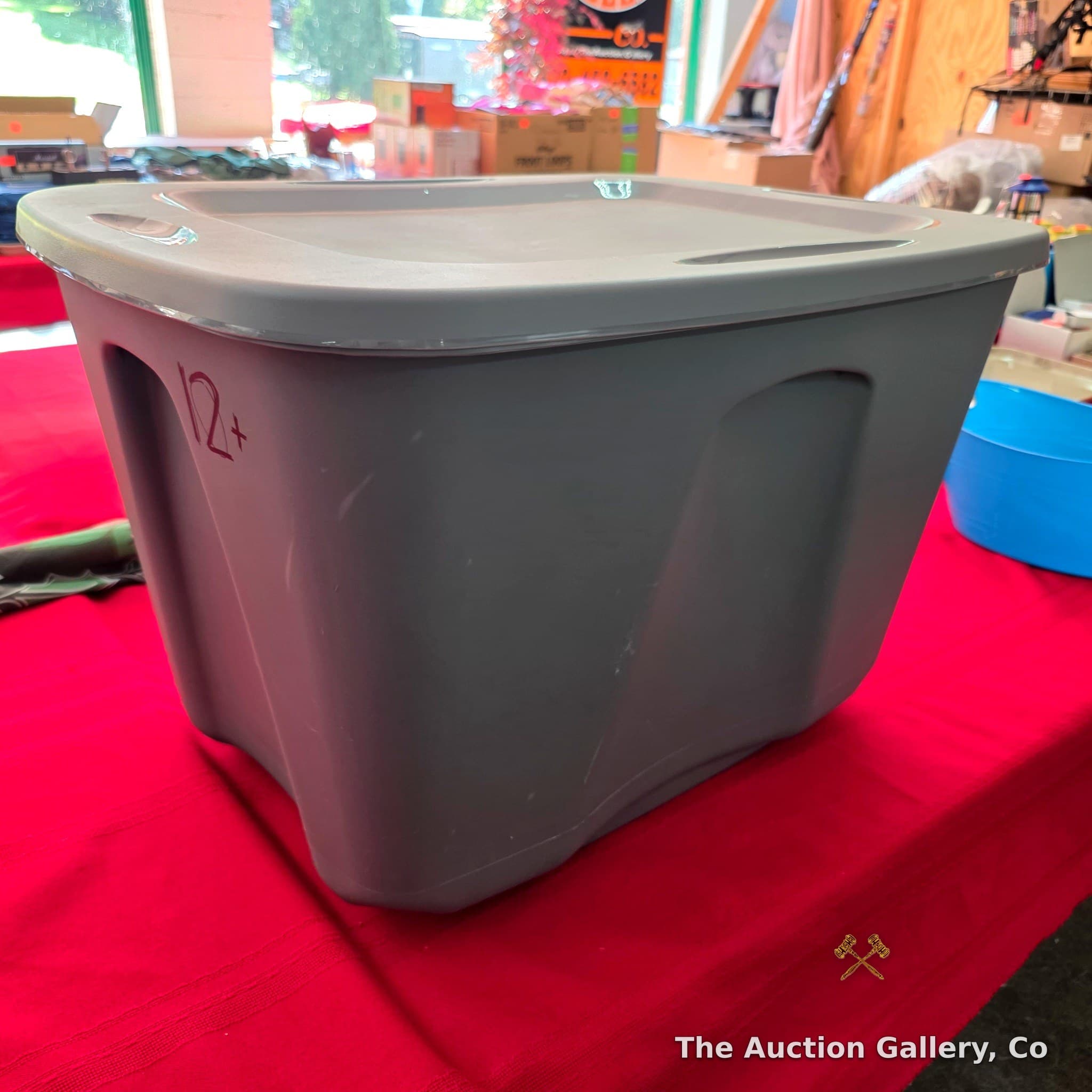 Gray Plastic Storage Tote with Lid, 12+ Gallon