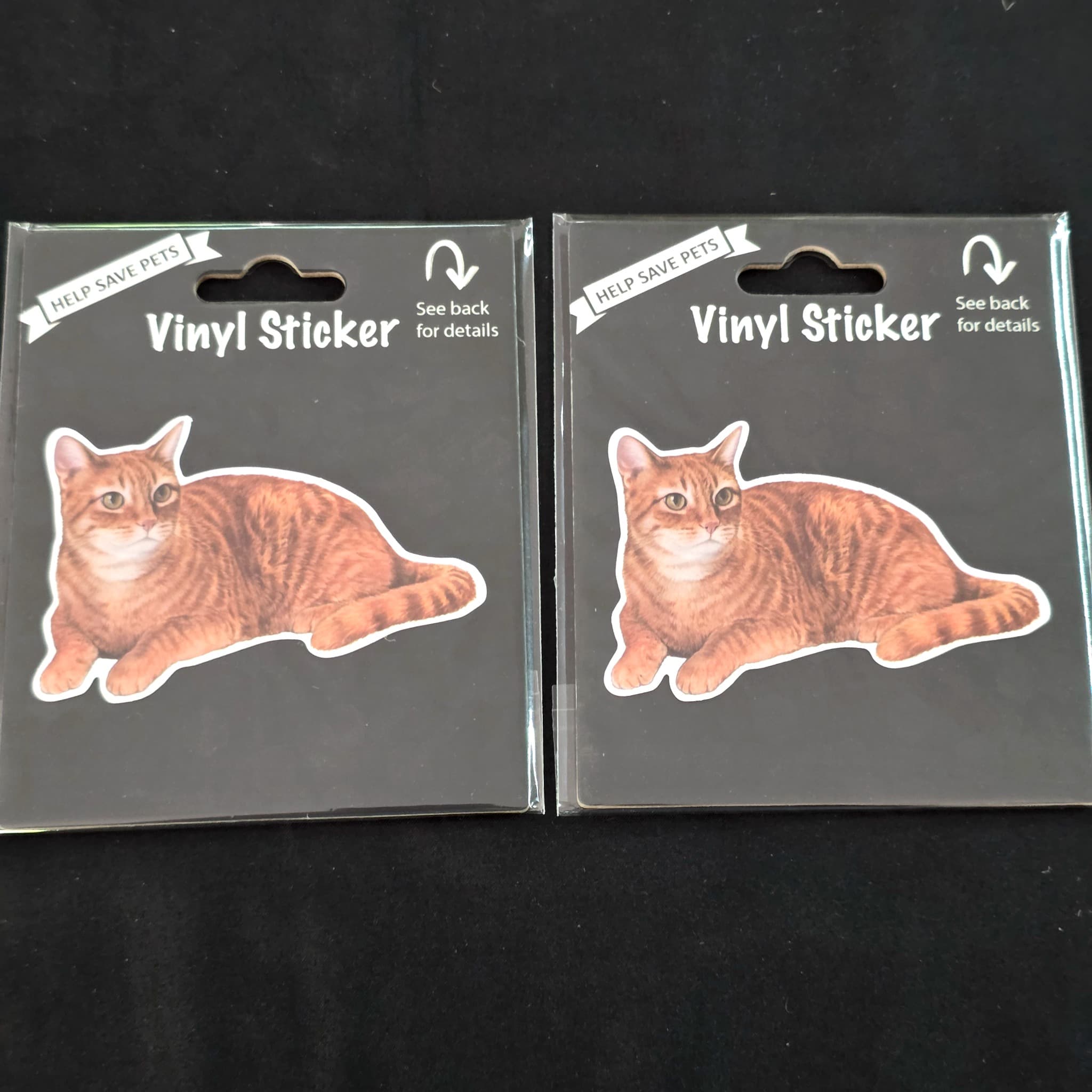 Orange Tabby Cat Vinyl Stickers, Set of 2