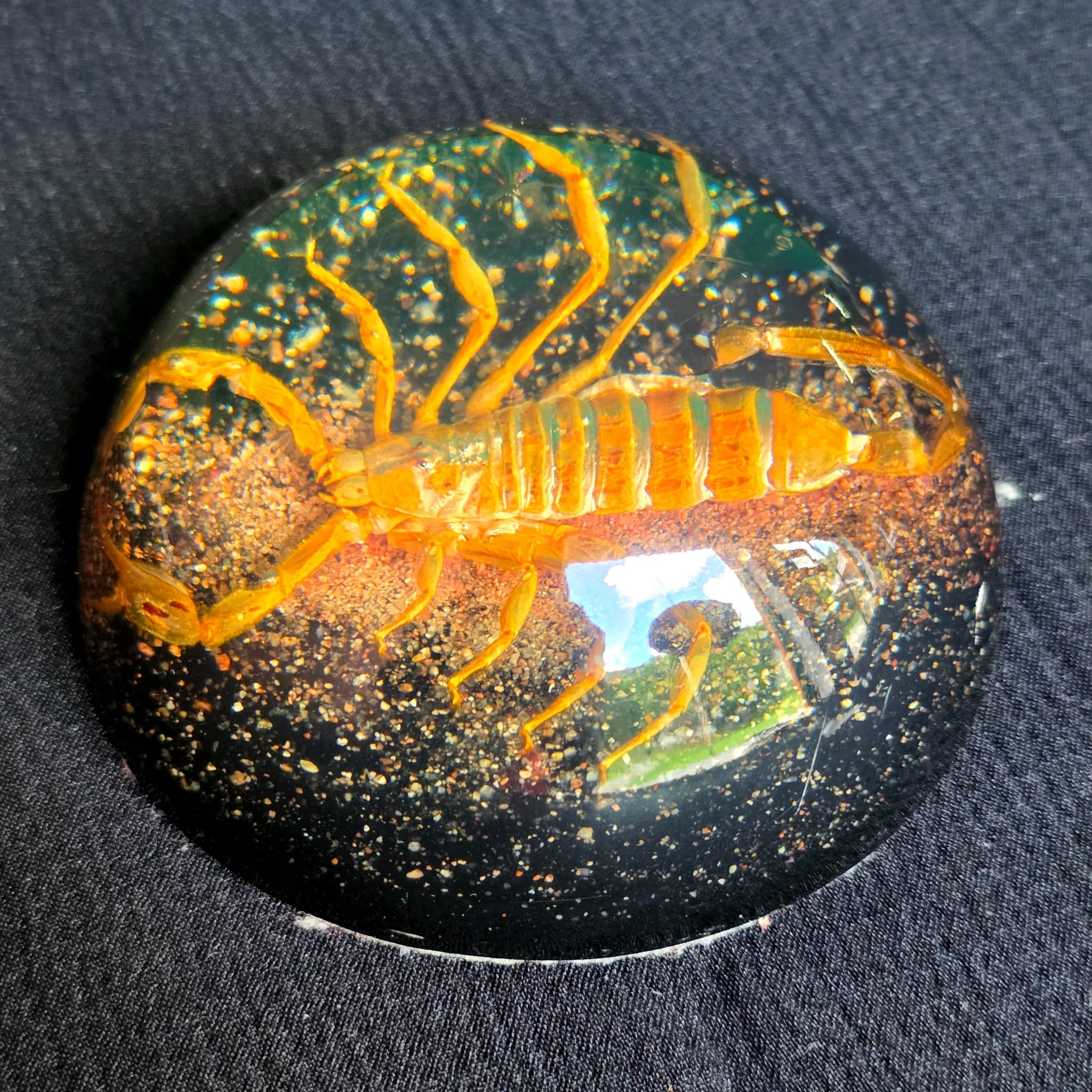 Vintage Real Scorpion Acrylic Paperweight, Novelty Encasement