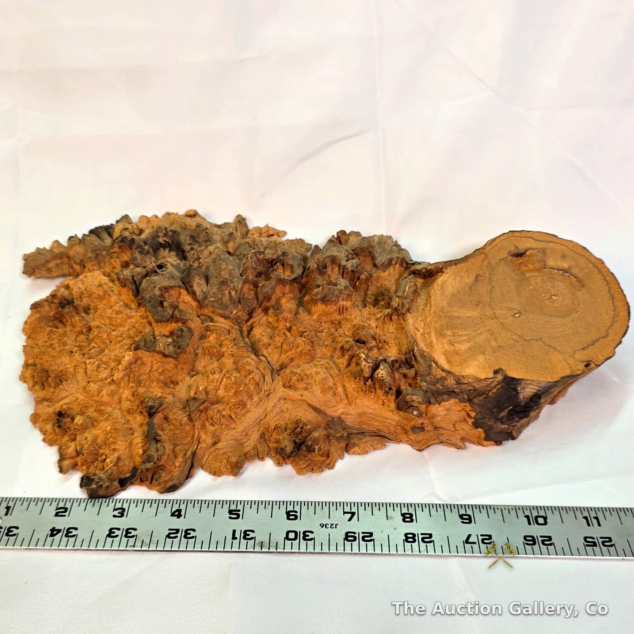 Natural Wood Burl, Raw Unfinished, Approx. 12"