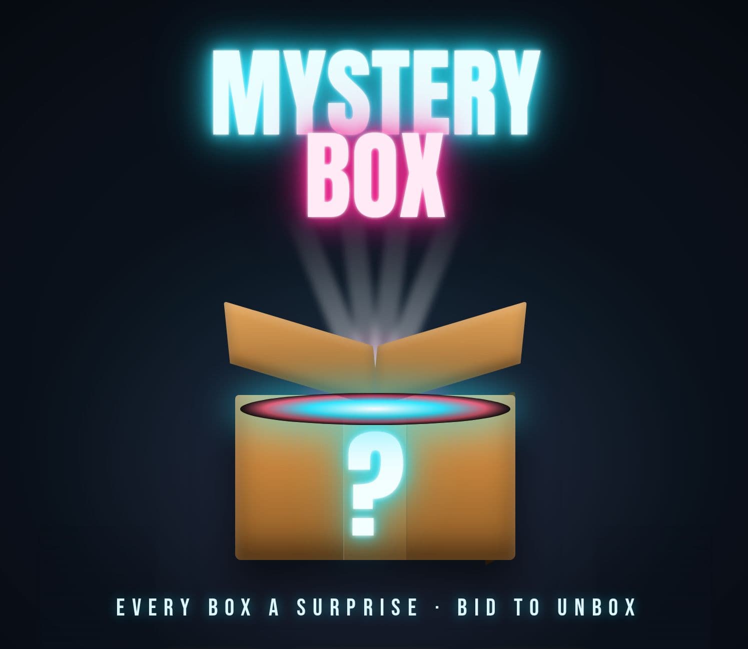 Large Mystery Box